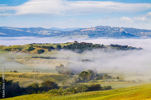 Early morning on countryside near Pienza  Tuscany  Italy