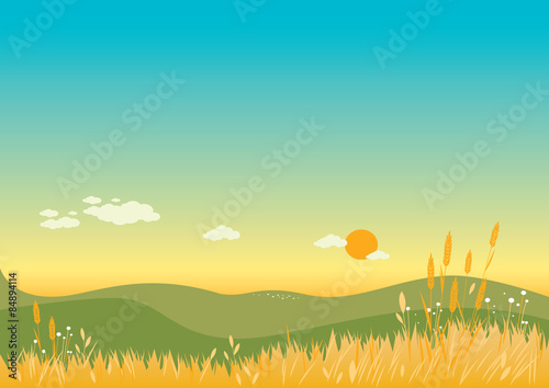 Summer Background. Illustration of a warm summer landscape with flowers, wheat and grass. Vector illustration