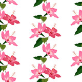 Seamless pattern with hand drawn hibiscus flowers 
