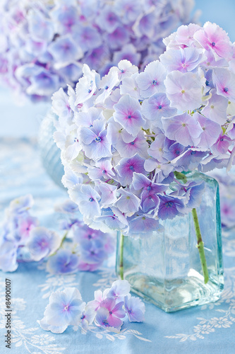 Cuadro en lienzo beautiful hydrangea flowers in a vase on a blue background .
