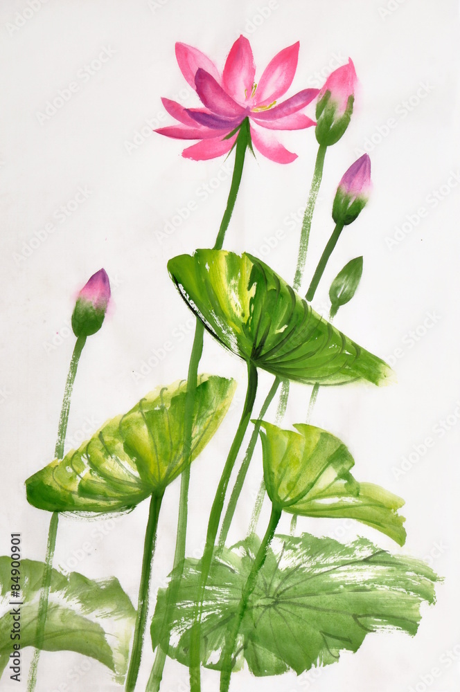 Obraz premium Lotus flower watercolor painting