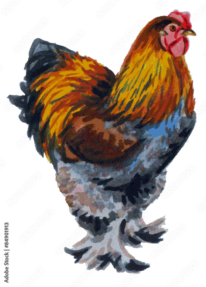 Fototapeta premium cock watercolor Brama