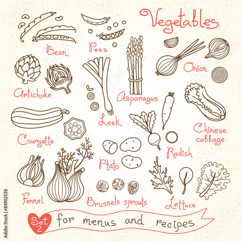 Set drawings of vegetables for design menus, recipes and