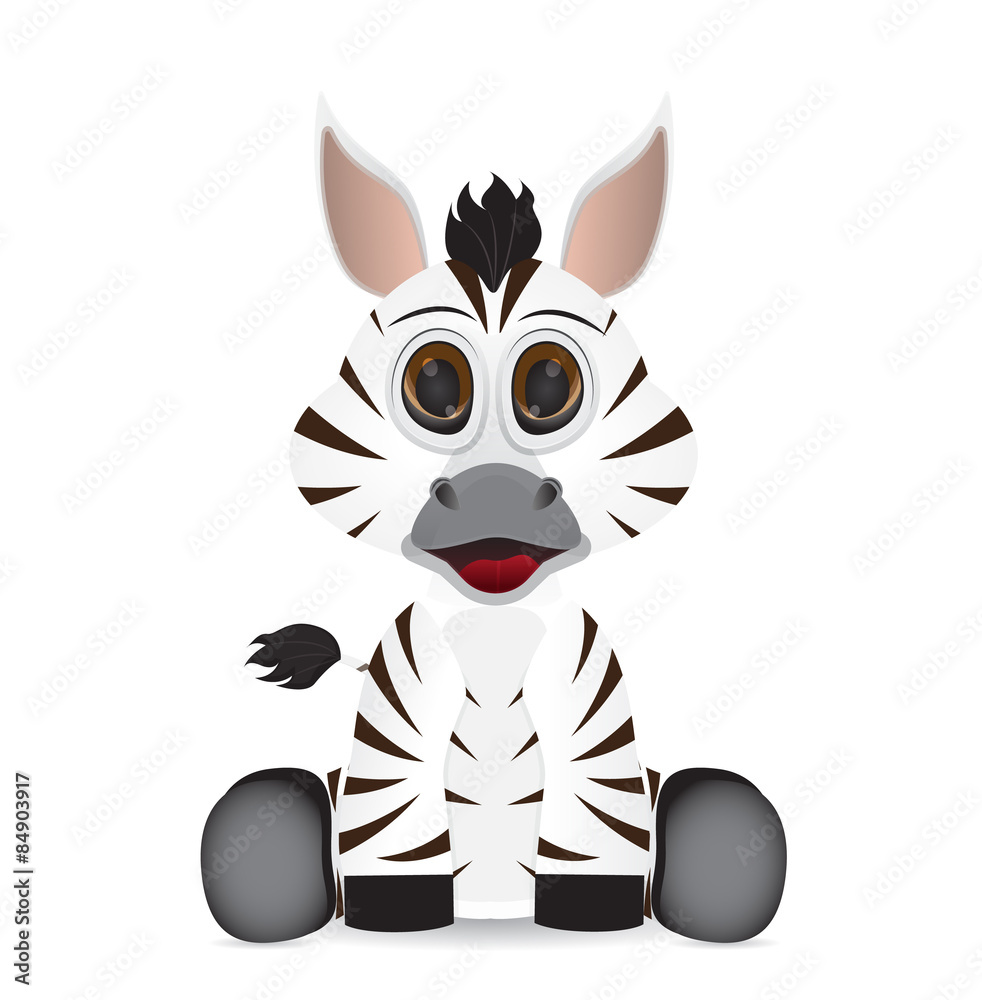 sitting zebra with white background isolated sitting zebra with white background isolated