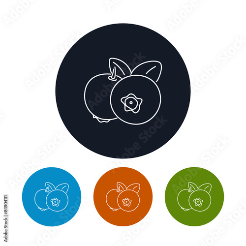 Icon Blueberries  ,the Four Types of Colorful Round Icons Blueberries  in the Contours, Vector Illustration