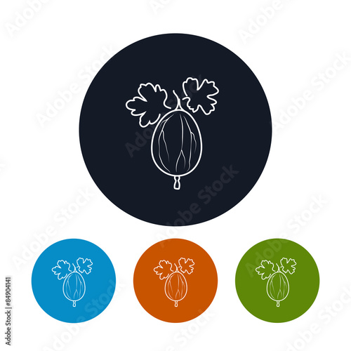 Icon Gooseberry  ,the Four Types of Colorful Round Icons Gooseberry  in the Contours, Vector Illustration