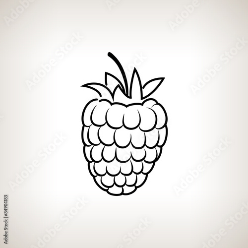 Raspberries in the Contours