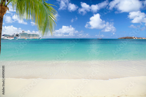 Tropical beach with palm tree and cruise ships in distance