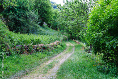 Valle de Leitariegos, Asturias