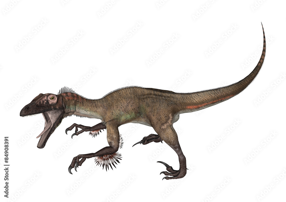 Dinosaur Utahraptor Dinosaur Utahraptor