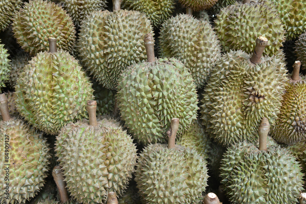Durian The King Of Fruit Durian The King Of Fruit