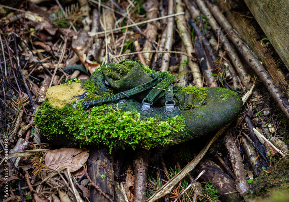 Naklejka premium natur schuh