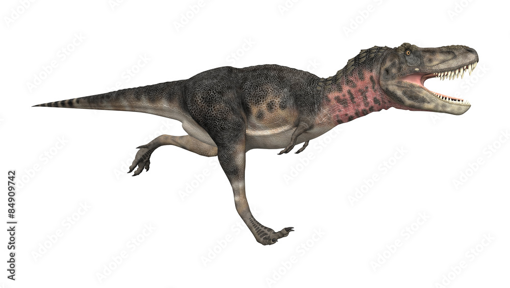 Dinosaur Tarbosaurus Dinosaur Tarbosaurus