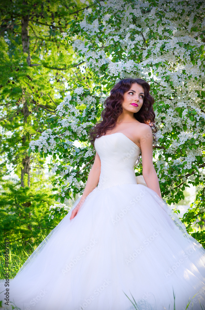 Bride in blooming apple trees Bride in blooming apple trees