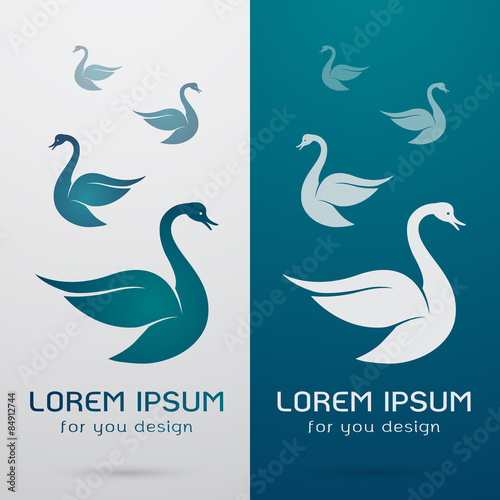 Vector image of an swan design on white background and blue back