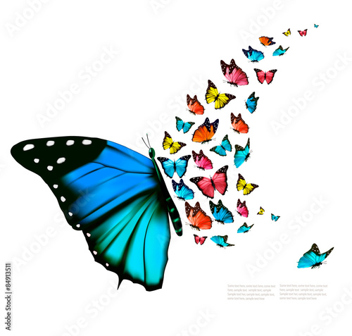 Beautiful butterfly background. Vector.