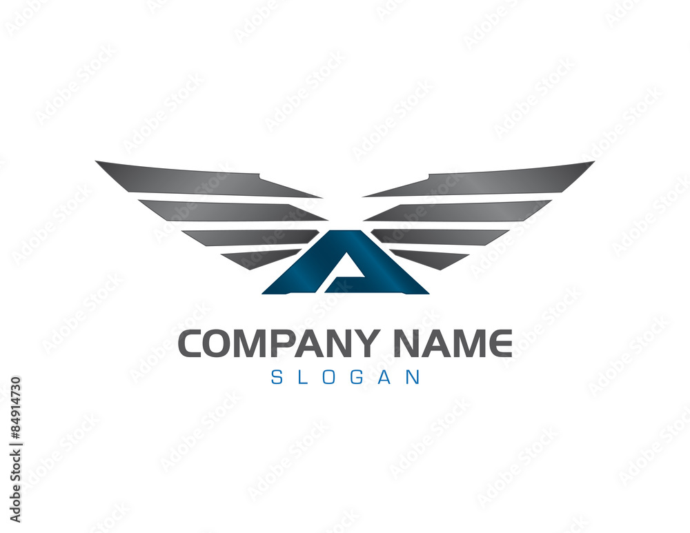 Obraz premium A wings design