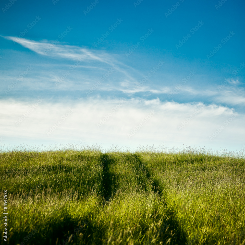 Obraz premium Field Road