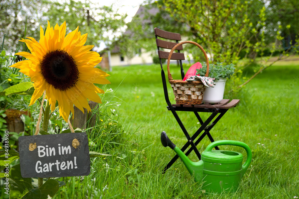 Bin im Garten foto de Stock Adobe Stock