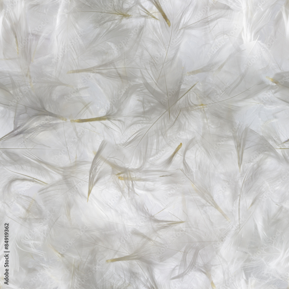 seamless, white feathers pattern, studio photographed with a grey background seamless, white feathers pattern, studio photographed with a grey background