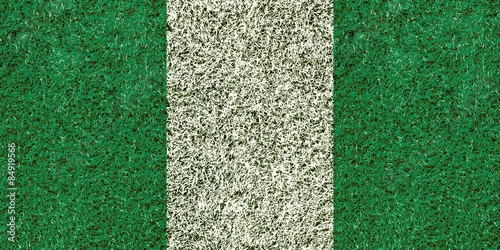 Nigeria flag texture on green grass photo