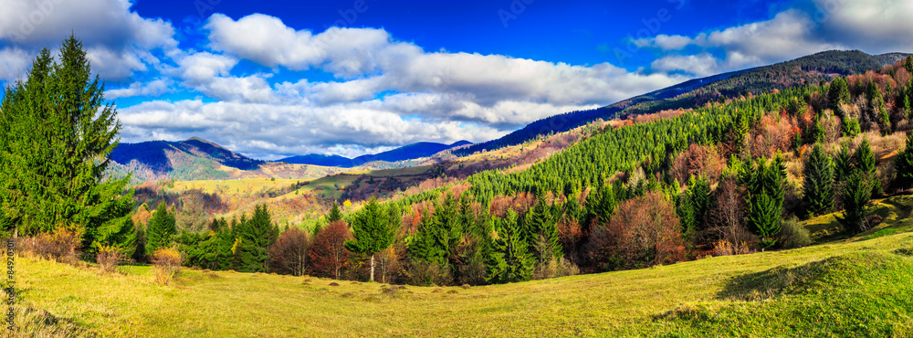coniferous forest in autumn  mountains