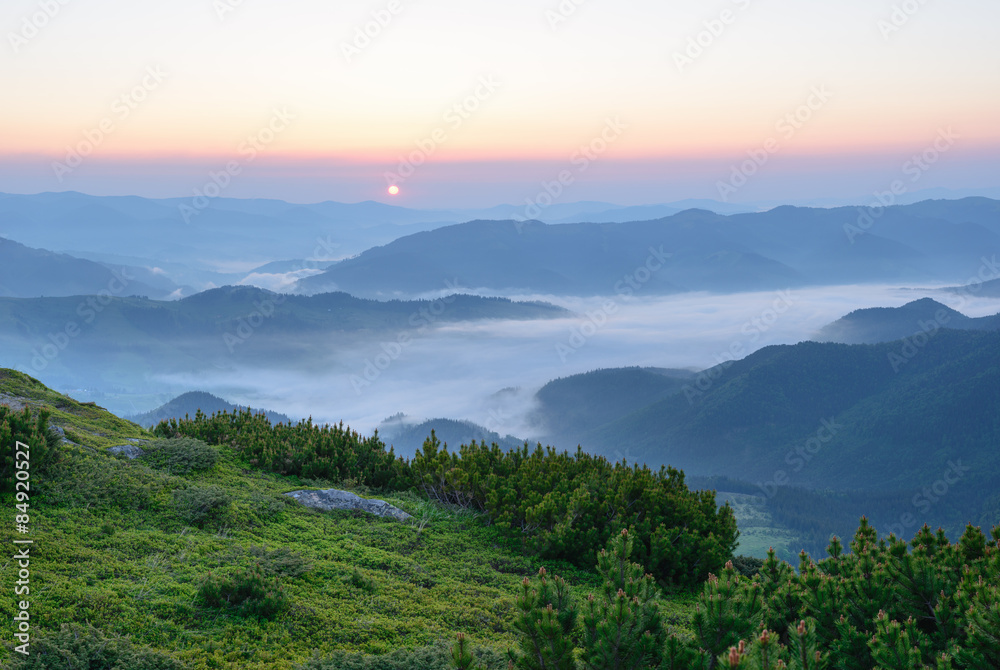 Obraz premium Morning fog in the Carpathian mountains