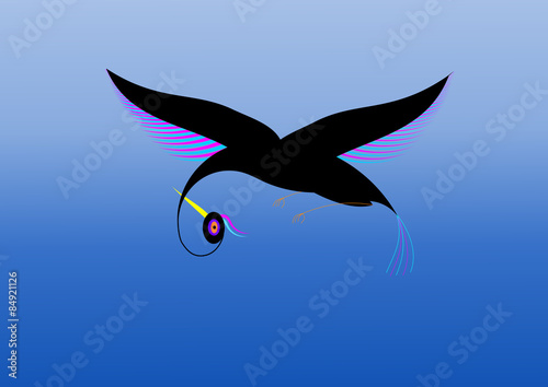 uccello