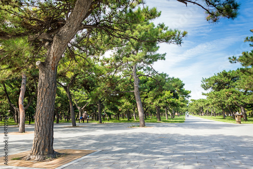 Tiantan-Park in Peking photo
