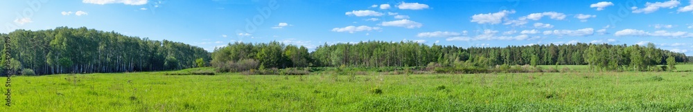 summer forest and blue cloudy sky panoramic