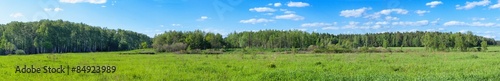 summer forest and blue cloudy sky panoramic
