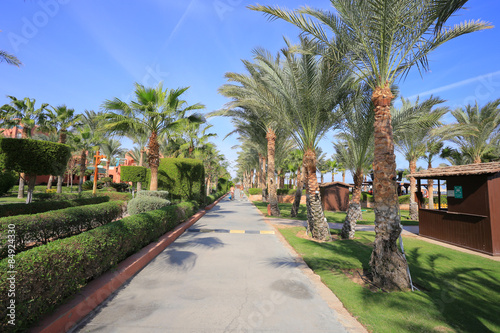 Sharm el-Sheikh resort