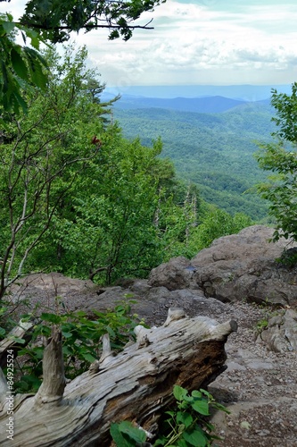 Fototapet Shenandoah Mountains from the Appalachian Trail