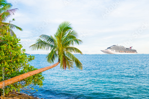 Fototapeta Naklejka Na Ścianę i Meble -  bright palm on sea background