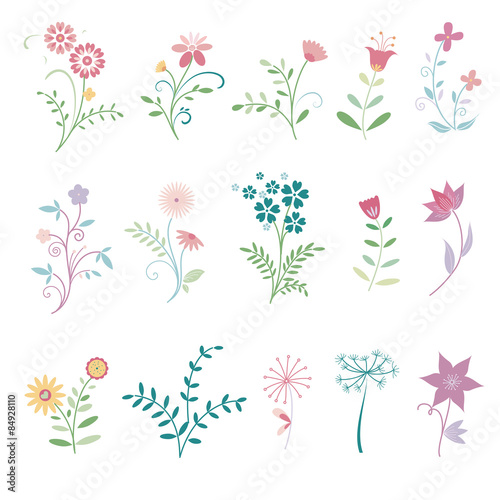 Colorful floral collection with leaves and flowers