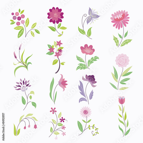 Colorful floral collection with leaves and flowers
