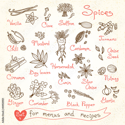 Set drawings of spices for design menus, recipes and packages