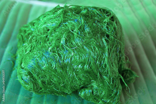 Freshwater algae 