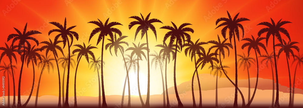 Obraz premium Tropical sunset with palm trees, vector background