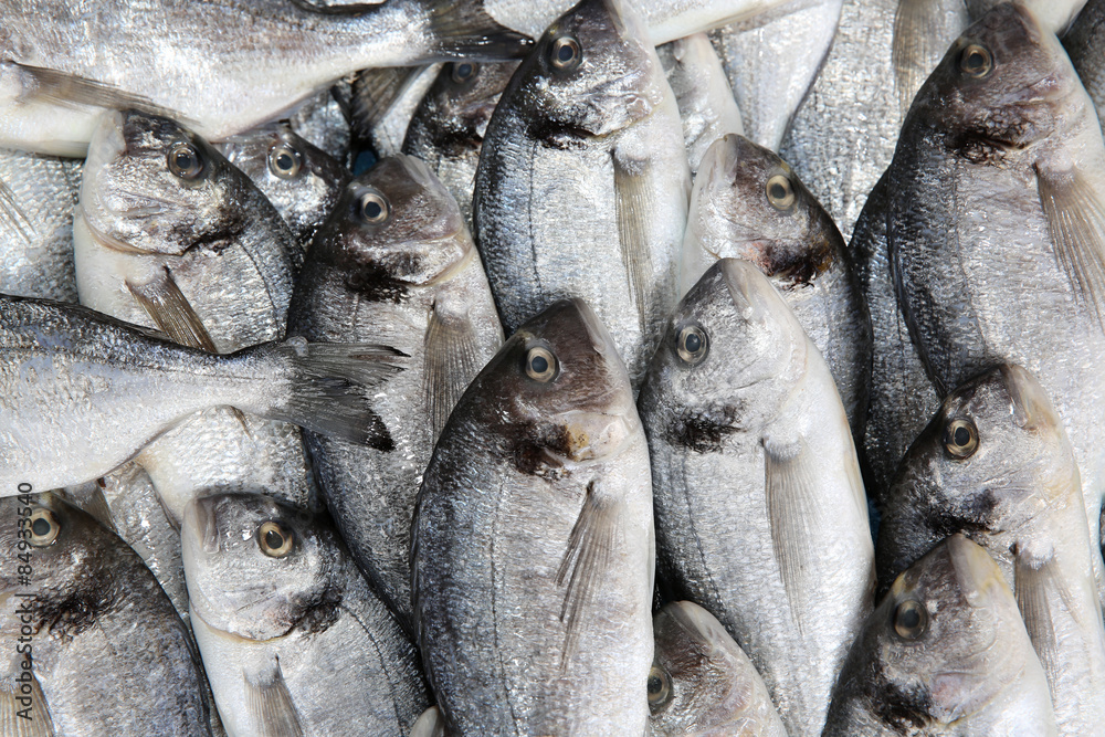 Obraz premium Sea Bream on Fish Market in Istanbul. Turkey