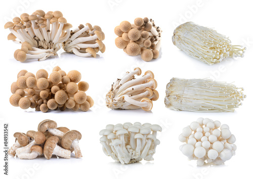 brown beech mushroom , White beech mushrooms , Shiitake mushroom photo