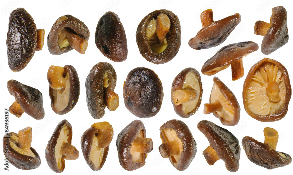 Obraz premium Fried shiitake mushrooms