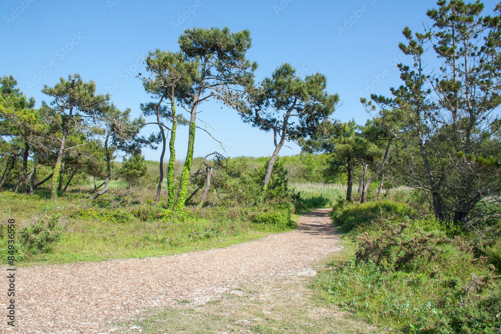 Chemin de randonnées à la pointe de Mousterlin dans le Finistère