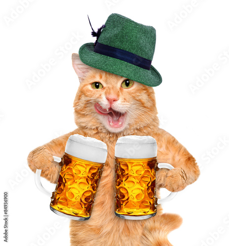 Fototapeta Naklejka Na Ścianę i Meble -  Cat with beer mugs. Isolated on the white.