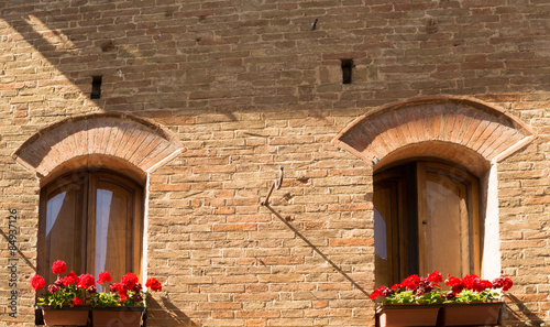 Fototapeta Naklejka Na Ścianę i Meble -  Fiori rossi alle finestre