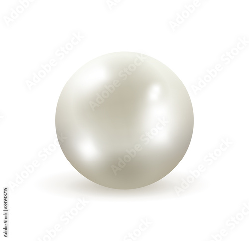 White pearl vector illustration
