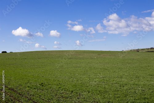 Modica, IT, January 15, 2015: Sicilian countryside typical landscape. The landscape is very similar to a famous windows xp wallpaper.