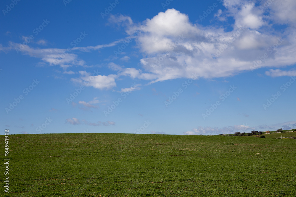 Modica, IT, January 15, 2015: Sicilian countryside typical landscape. The landscape is very similar to a famous windows xp wallpaper. Modica, IT, January 15, 2015: Sicilian countryside typical landscape. The landscape is very similar to a famous windows xp wallpaper.