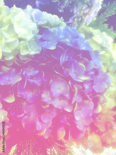 beautiful flowers made with color filters