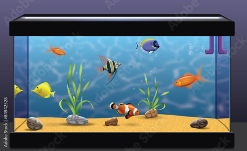 Aquarium